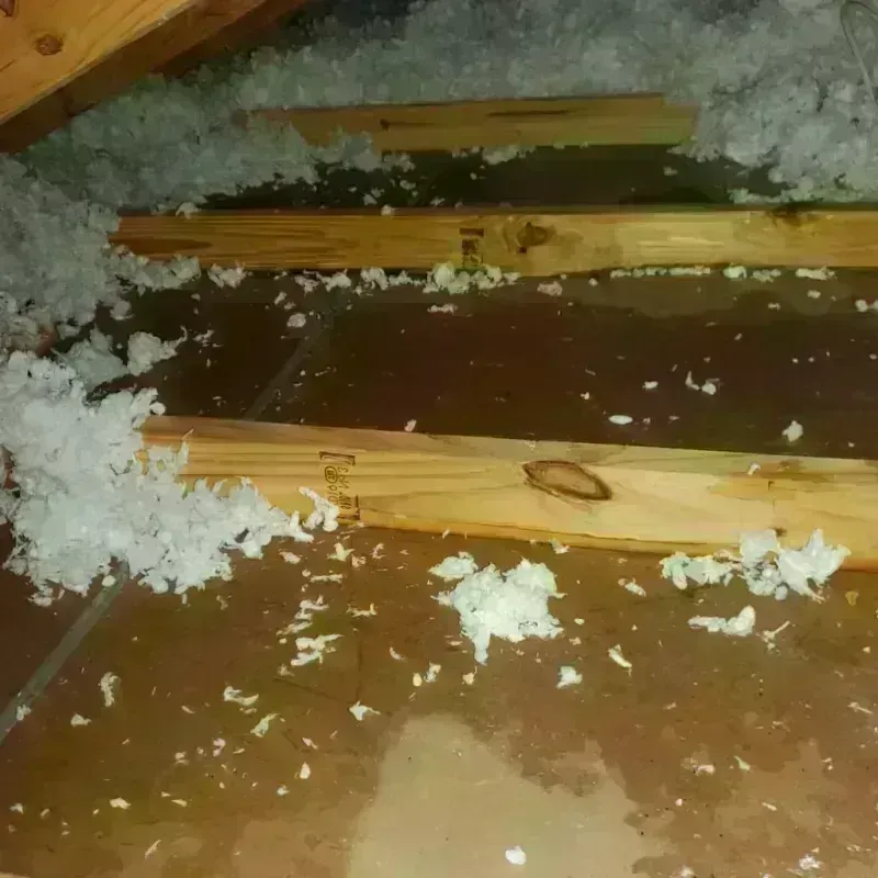 Attic Water Damage in Columbia County, OR