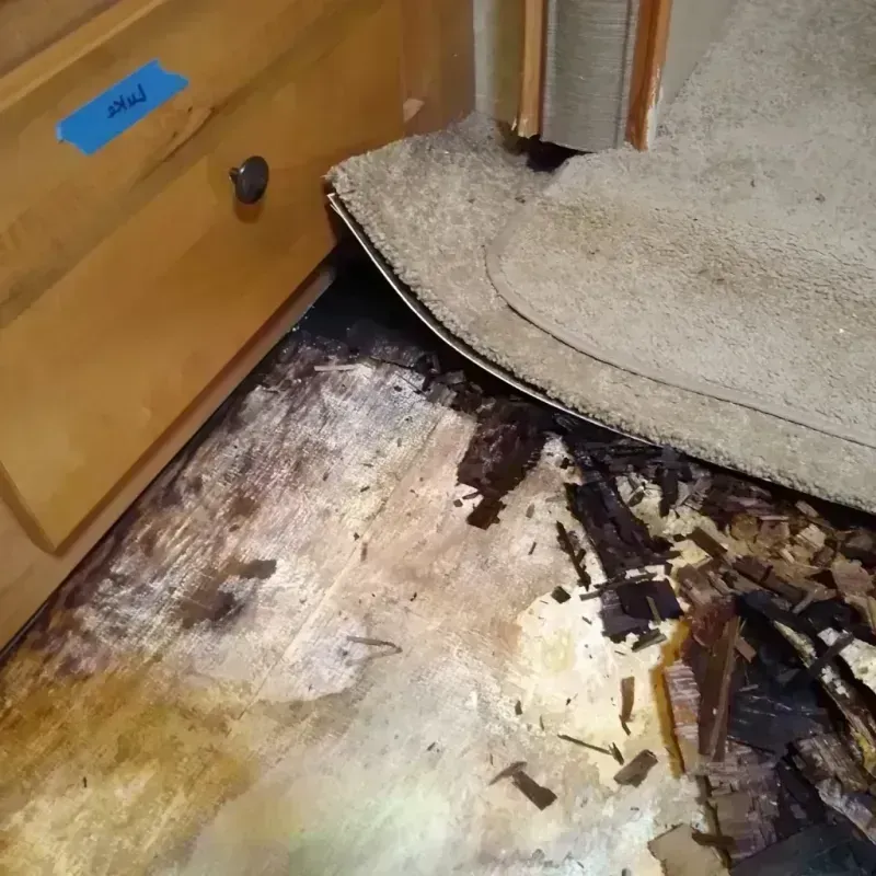 Wood Floor Water Damage in Columbia County, OR